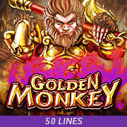 Golden-monkey