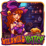 Wild-wild-witch