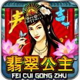 Feicuigongzhu